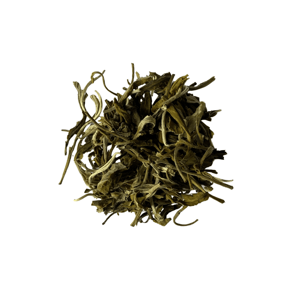 Snow Bud White Tea - Refill Bag - Loose Leaf